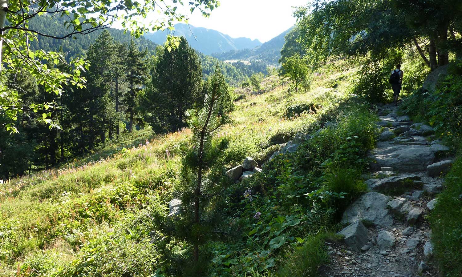 Randonnées massif du Canigó