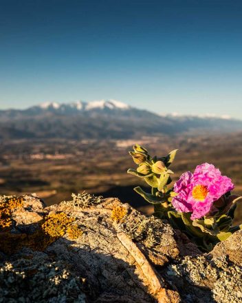Nos Offices de Tourisme