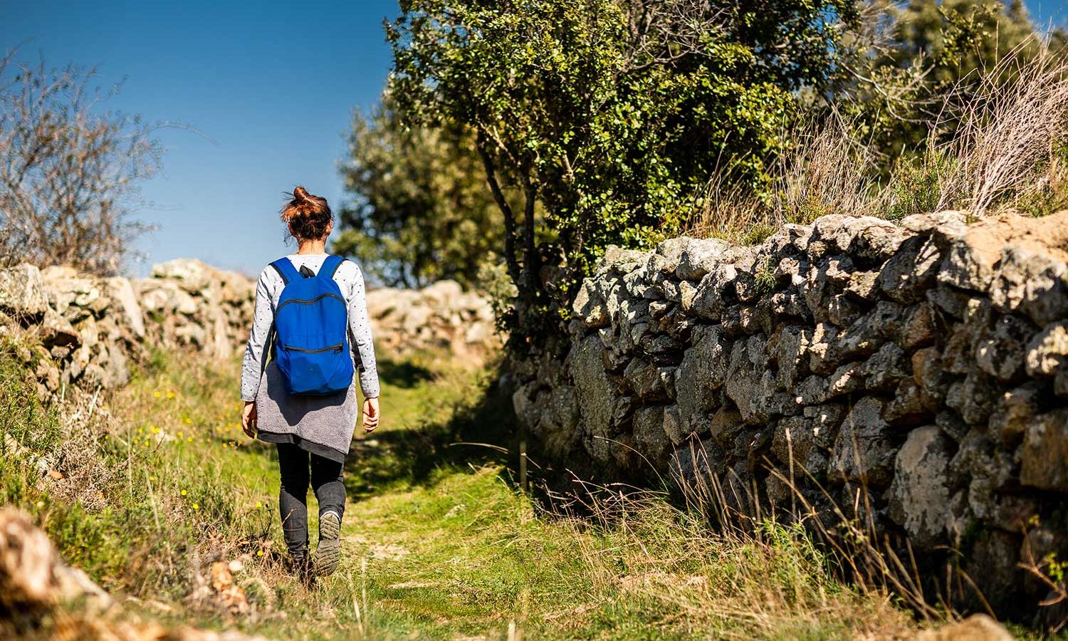 Randonnée pédestre