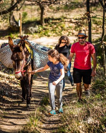La randonnée équestre