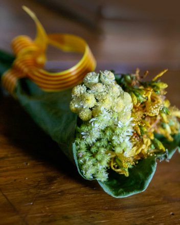 Les herbes de la Saint-Jean