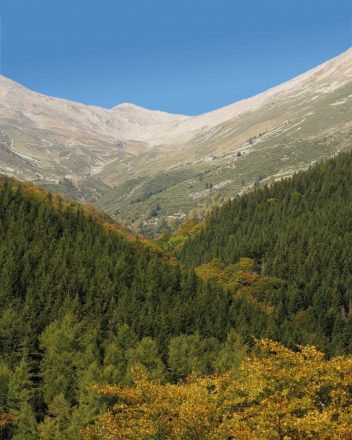 Le secteur de Sant Guillem