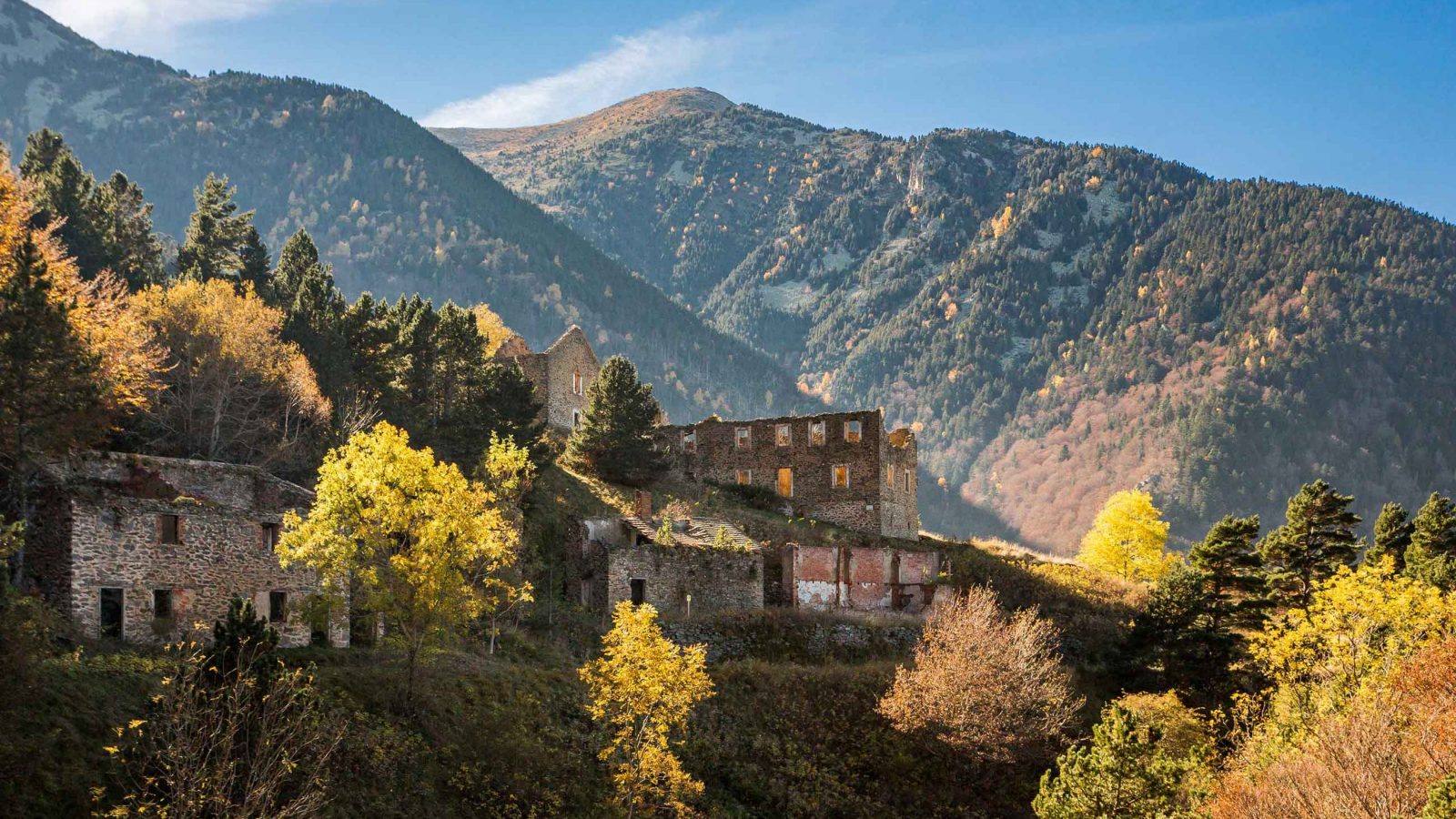La pinosa et la Canigó