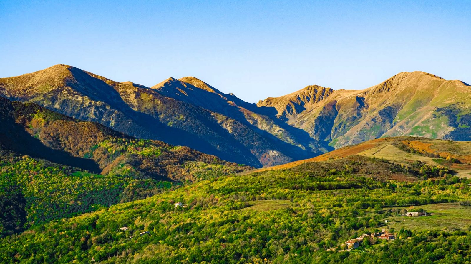 Les Forêts du Vallespir, un joyau du patrimoine naturel du Vallespir Canigó