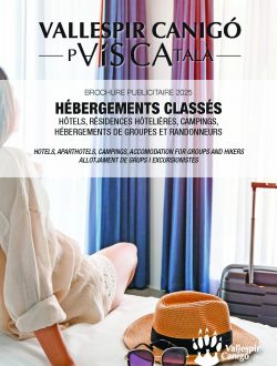Hébergements Hôtels Résidences Campings Groupes Classés Vallespir Canigó 2025
