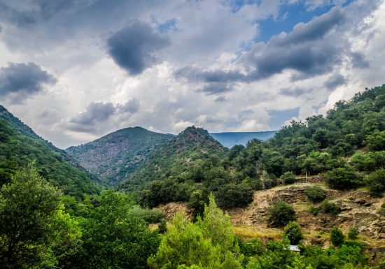 RESERVE NATURELLE DE CONAT