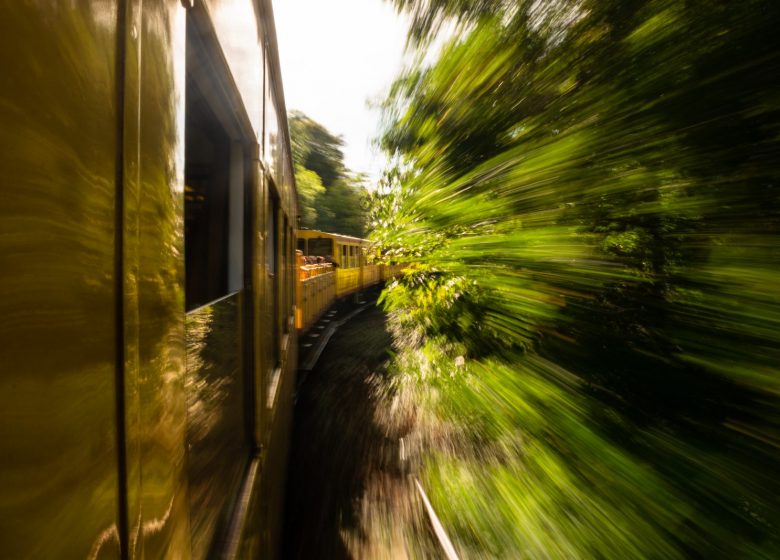 LE TRAIN JAUNE