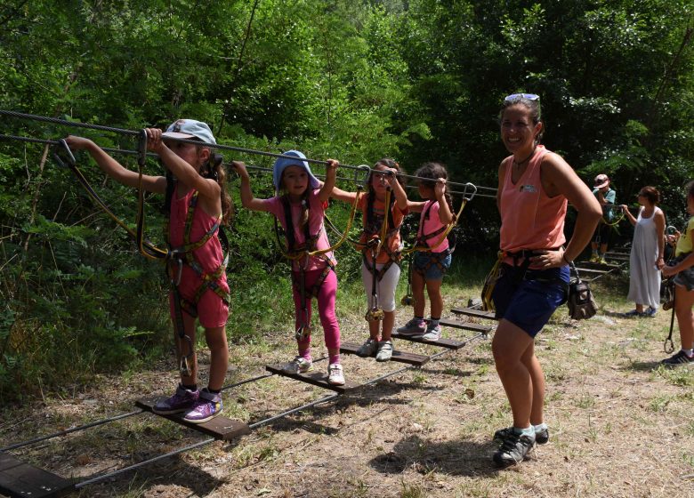 AVENTURA EN EL BOSQUE