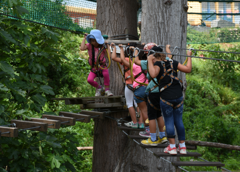 AVENTURA EN EL BOSQUE