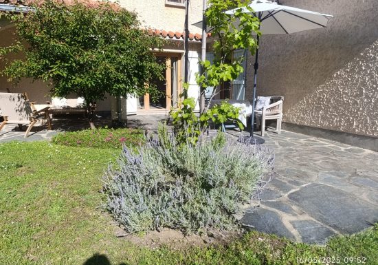 MÉLODIE DU CANIGOU – TILLEUL