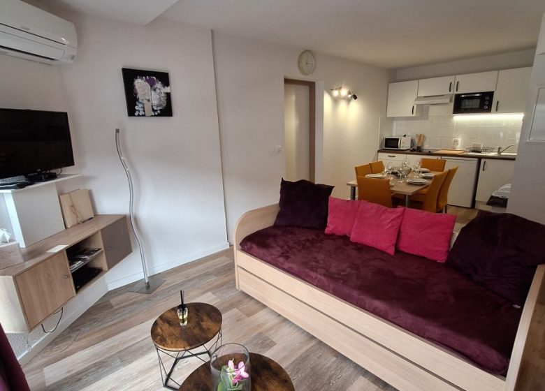 LOCATION VACANCES APPARTEMENT T3