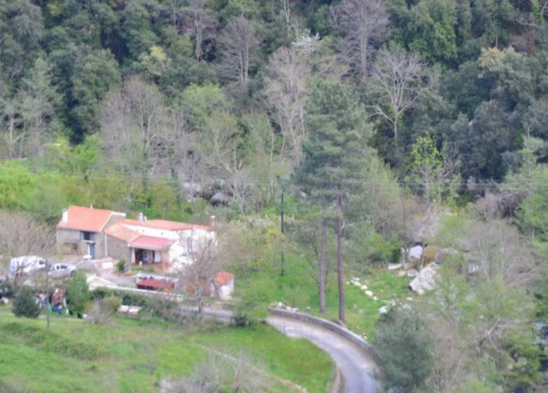 LE TERME AU MAS PAGRIS