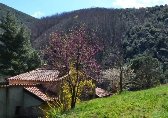 LE TERME AU MAS PAGRIS