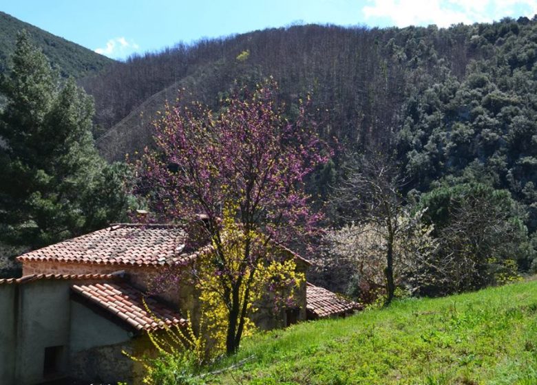 LE TERME AU MAS PAGRIS