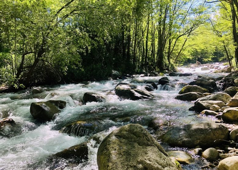 LIVING WATER CAMPING