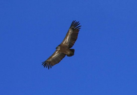 ENTRE TERRE ET EAU JEROME LACOU