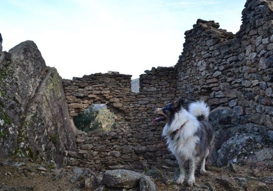 VESTIGES DU CHÂTEAU DE MONDONY