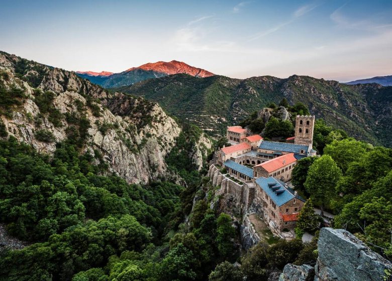 ABBAYE DE SAINT MARTIN DU CANIGOU