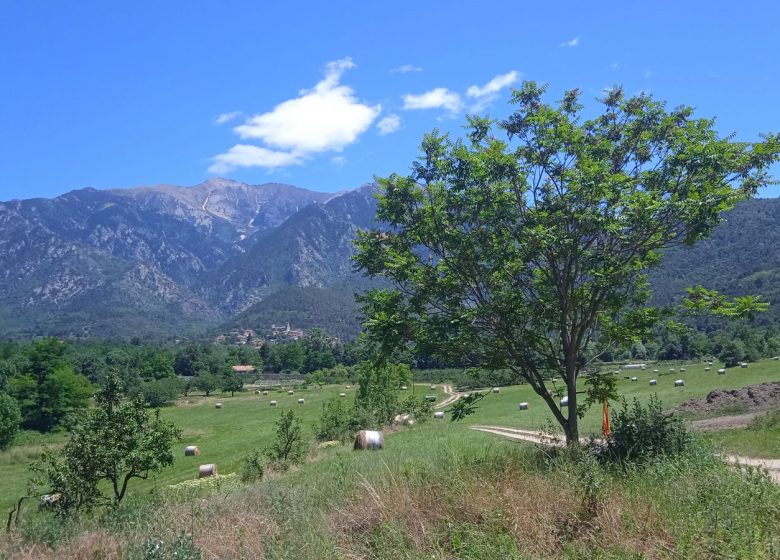 BALADES DU CONFLENT