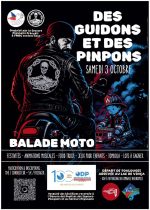 secours populaires françias DES GUIDONS ET DES PINPONS