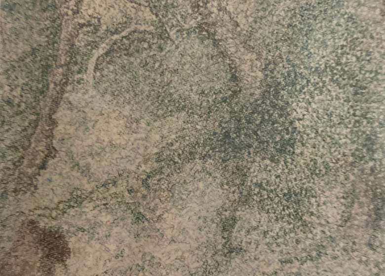 EXPOSITION « MICROCHROMIES D&rsquo;ALBERT ET ELIANE MUIS »