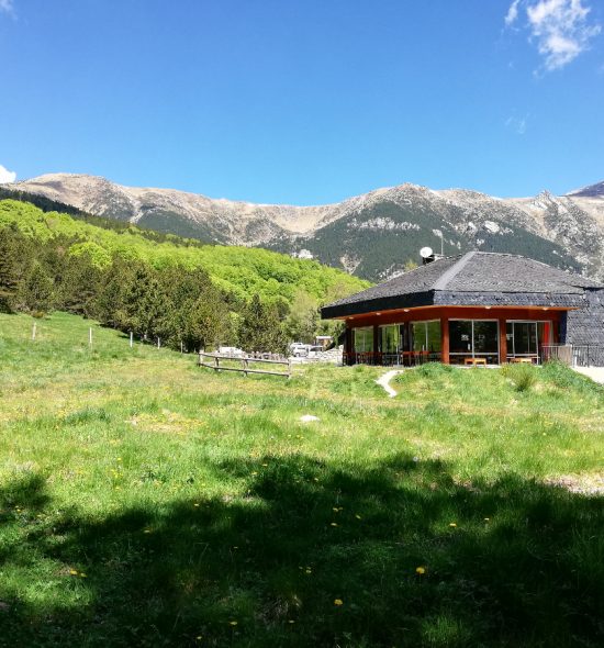 Rencontre avec Xaví Bosh