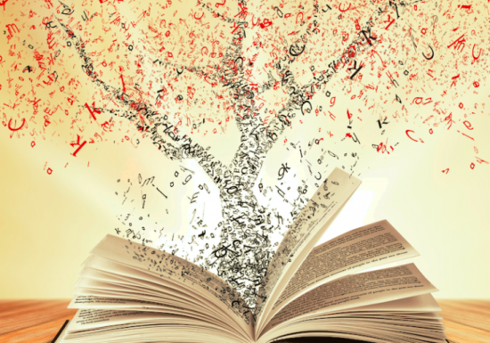 ASSOCIATION « LIRE ET FAIRE LIRE 66 »