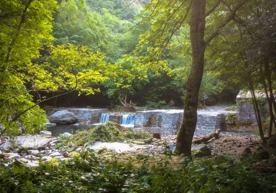 LA PISCINE DU MONDONY