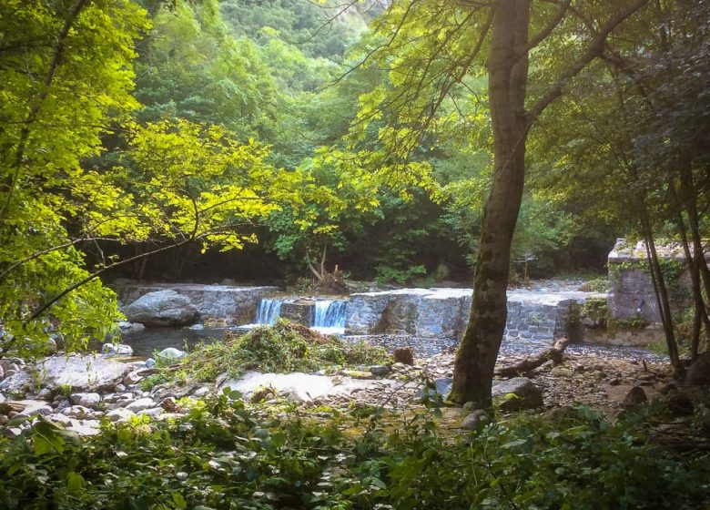 LA PISCINE DU MONDONY