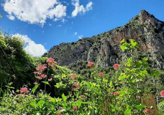 LES CHAMBRES CHOUETTES – FORT LIBERIA