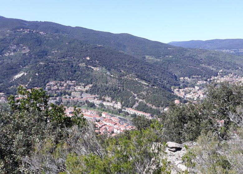 NETENS BEATRICE