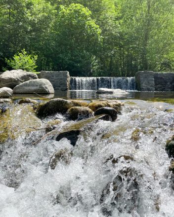 LA PISCINE DU MONDONY