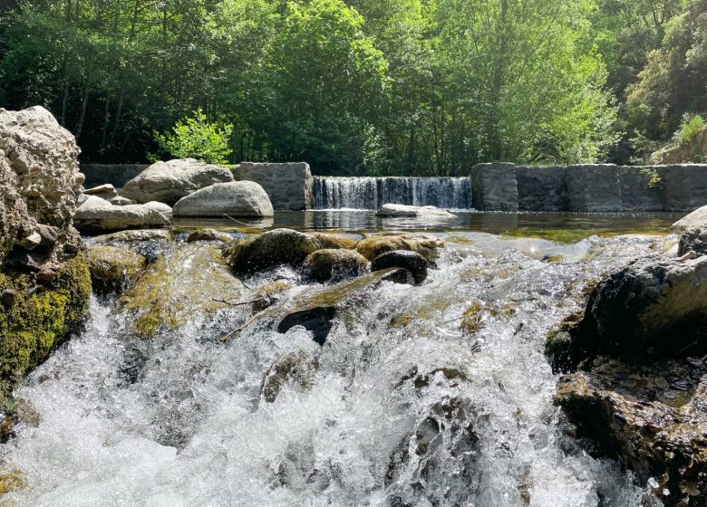 LA PISCINE DU MONDONY