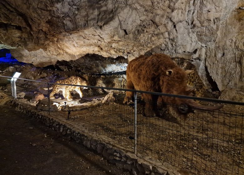 COVA BASTERA – DINOPEDIA EXPERIENCE