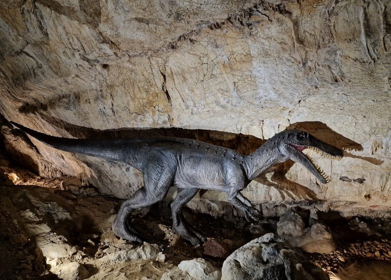 COVA BASTERA – DINOPEDIA EXPERIENCE