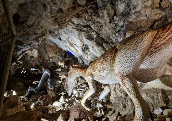 COVA BASTERA – DINOPEDIA EXPERIENCE