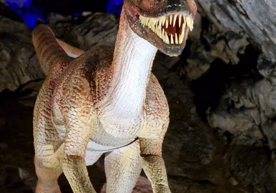 COVA BASTERA – DINOPEDIA EXPERIENCE
