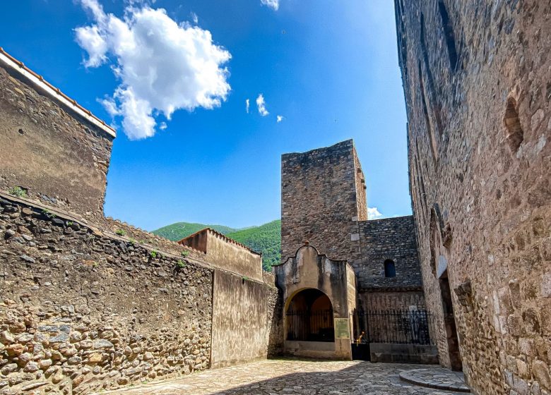 ABADÍA DE SANTA MARIA DE ARLES SUR TECH