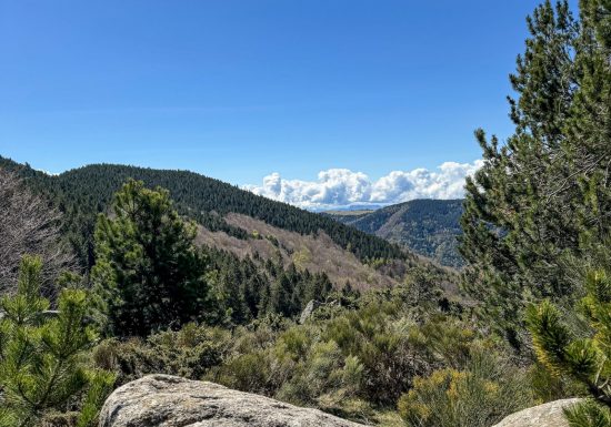 RESERVE NATURELLE DE PRATS DE MOLLO LA PRESTE