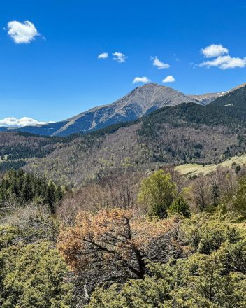 RESERVE NATURELLE DE PRATS DE MOLLO LA PRESTE