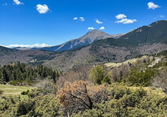 RESERVE NATURELLE DE PRATS DE MOLLO LA PRESTE