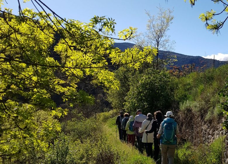 LES BALADES DU CONFLENT « LES GORGES DE NYER »