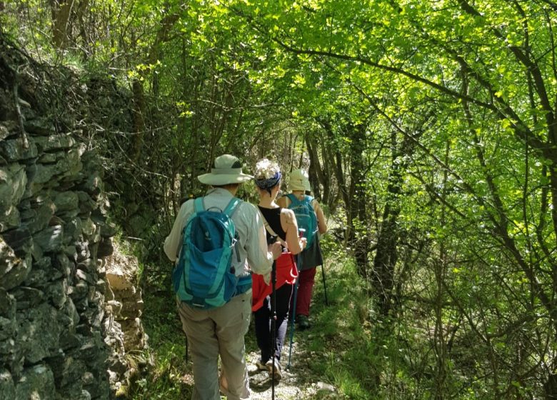 LES BALADES DU CONFLENT « AUTOUR D’EVOL »