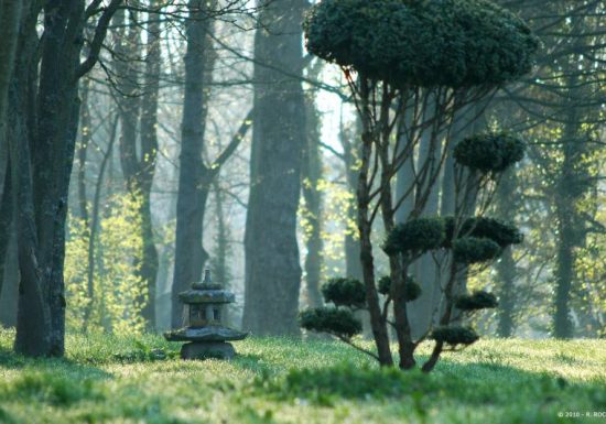 ACADEMIE D’AIKIRYU