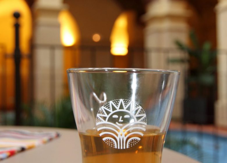 SPA THERMAL DE MOLITG-LES-BAINS