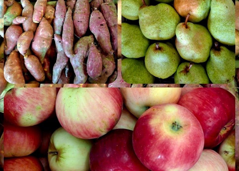 LES CABANES DE PRADES