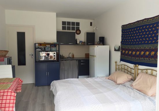 RÉSIDENCE LE PALAIS « LES IRIS »