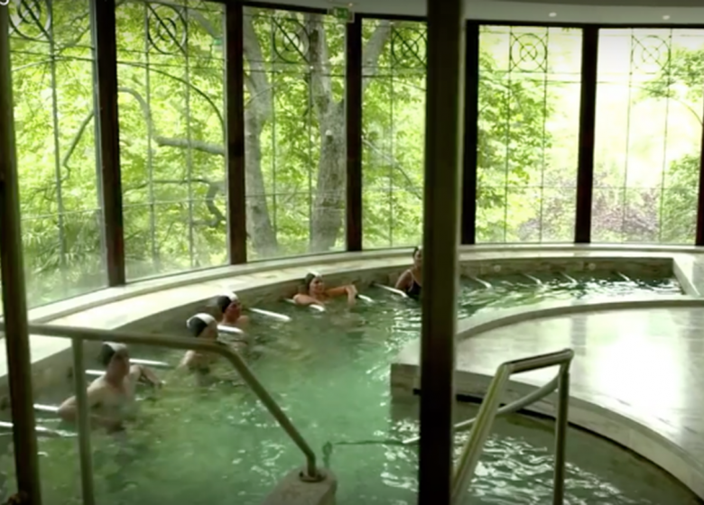 SPA THERMAL DE MOLITG-LES-BAINS