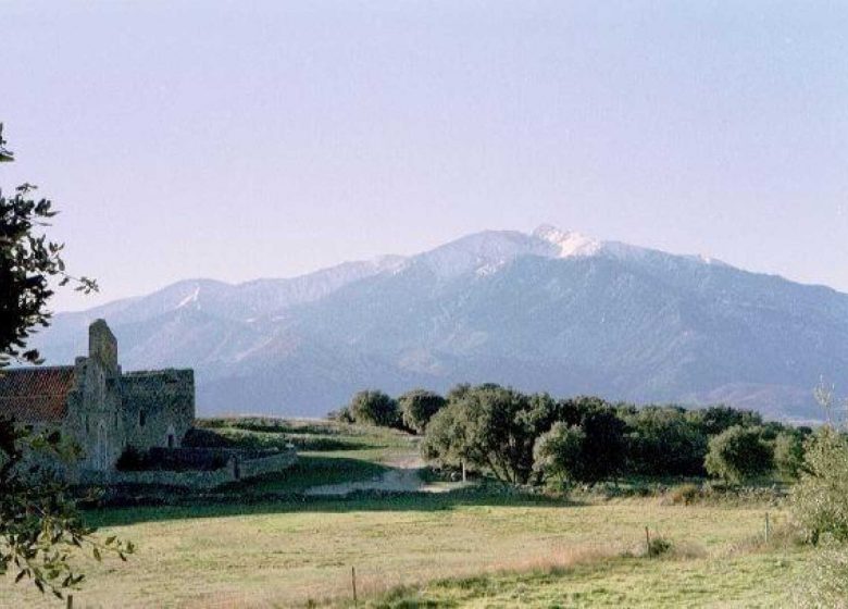 BALLESTERA