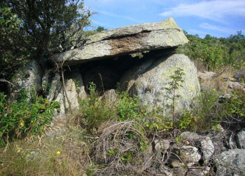 BALLESTERA